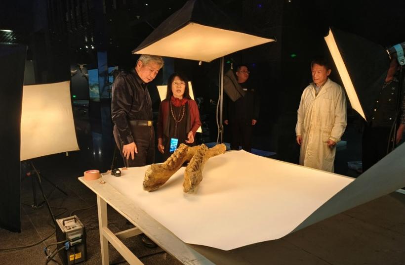 内蒙古博物院参与的古生物数据库建设项目取得阶段性成果